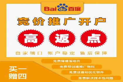 百度SEO推广公司案例精选：揭秘关键词优化策略